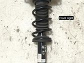 Front shock absorber/damper