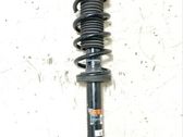 Rear shock absorber/damper