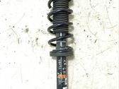 Rear shock absorber/damper