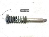 Rear shock absorber/damper
