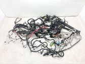 Other wiring loom