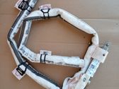 Airbag de toit