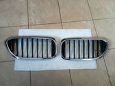 Front bumper upper radiator grill