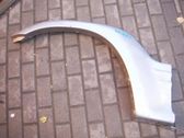 Fender trim (molding)