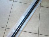 Front door trim (molding)