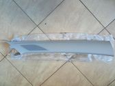 (A) pillar trim