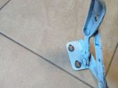 Engine bonnet/hood hinges