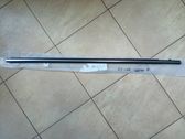 Front door trim (molding)