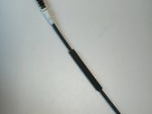 Línea de cable puerta delantera