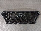 Front bumper upper radiator grill