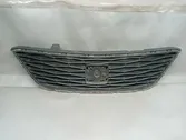 Front bumper upper radiator grill