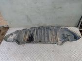 Front bumper skid plate/under tray