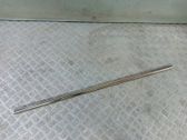 Front door glass trim molding