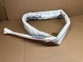 Roof airbag