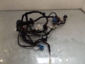 Enchufe de 12V (trasero)