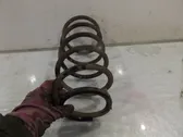 Front coil spring