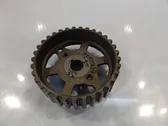 Fuel pump gear (pulley)