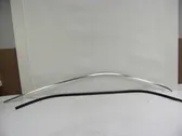 Roof trim bar molding cover