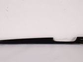 Rear door trim (molding)