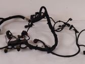 Engine installation wiring loom