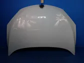 Engine bonnet/hood