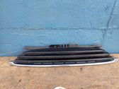 Front grill