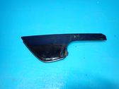 Rear door trim (molding)