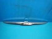 Trunk door license plate light bar