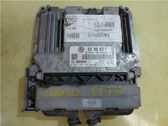 Engine control unit/module ECU