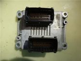 Engine control unit/module ECU