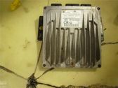 Engine control unit/module ECU