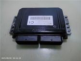 Unidad de control/módulo ECU del motor