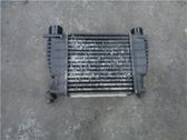 Radiador intercooler