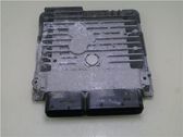 Engine control unit/module ECU