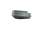 Rear door interior light