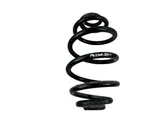 Rear coil spring