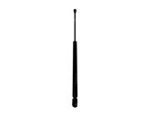 Tailgate/trunk strut/damper