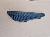 Front fog light trim/grill