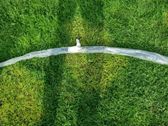 Wiper trim
