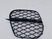 Front bumper lower grill