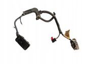 Front door wiring loom