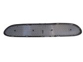 Front bumper lower grill