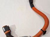Engine installation wiring loom