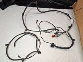 Other wiring loom