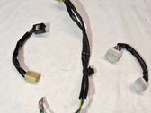 Other wiring loom