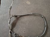 Other wiring loom
