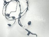 Other wiring loom