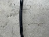 Rear door glass trim molding