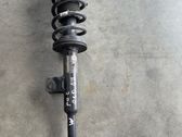 Front shock absorber with coil spring