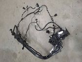 Tailgate/trunk/boot lock/catch/latch